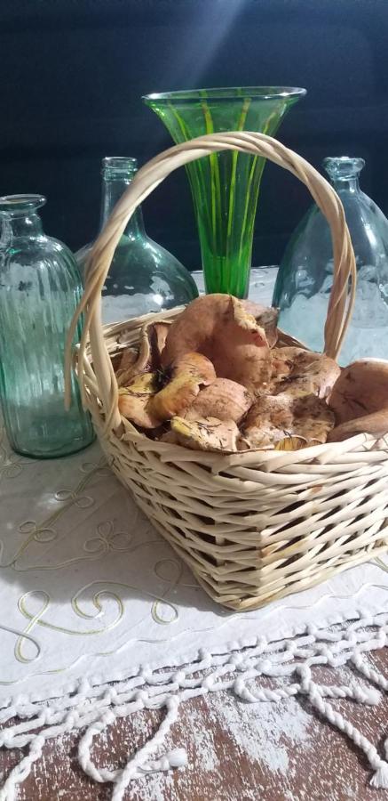 Casa Rural Los 7 Pinos De Gredos ナバレドンダ・デ・グレドス エクステリア 写真