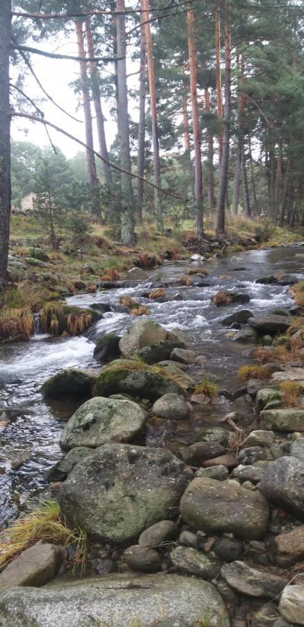 Casa Rural Los 7 Pinos De Gredos ナバレドンダ・デ・グレドス エクステリア 写真