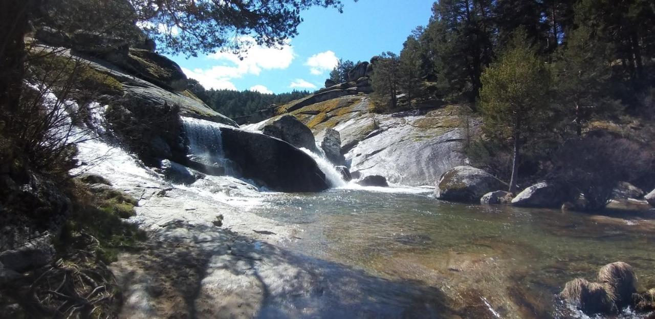 Casa Rural Los 7 Pinos De Gredos ナバレドンダ・デ・グレドス エクステリア 写真